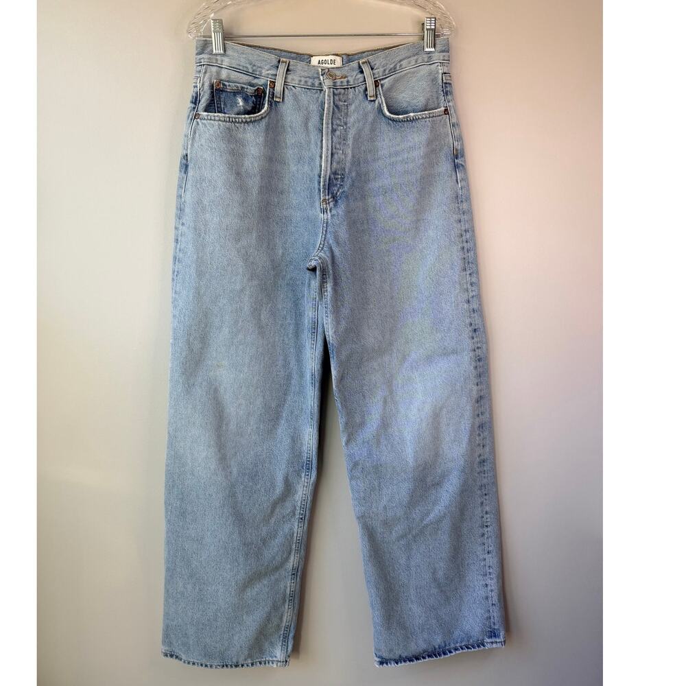 Agolde Size 27 Low Slung Baggy Jeans Button Fly Wide Leg Void